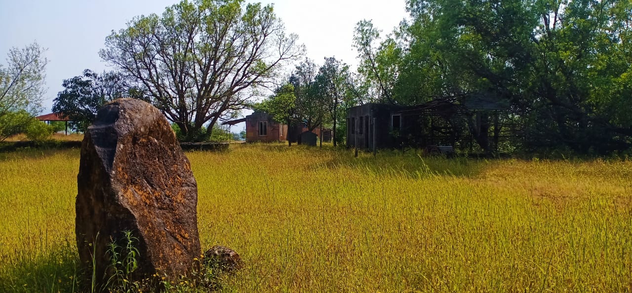 View 1