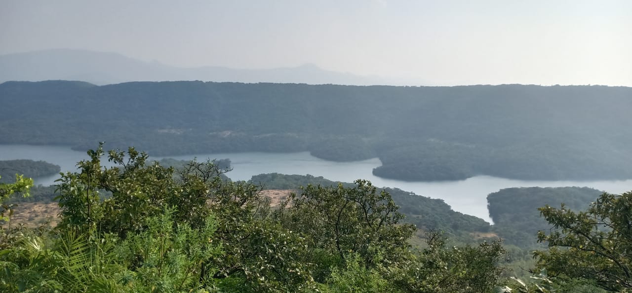 View 3