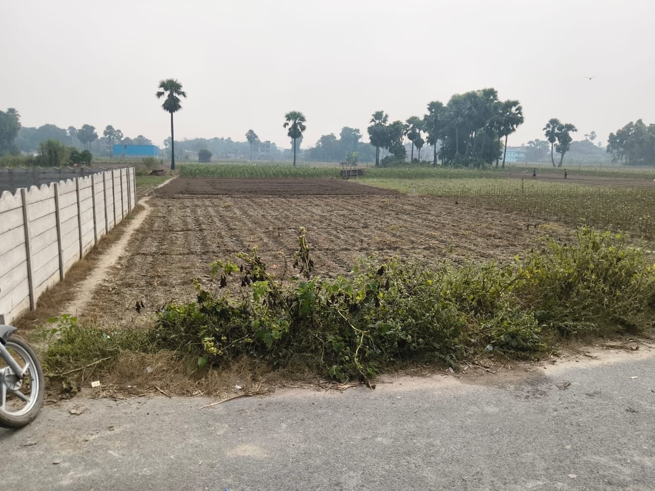 Sonepur Green Estate 2